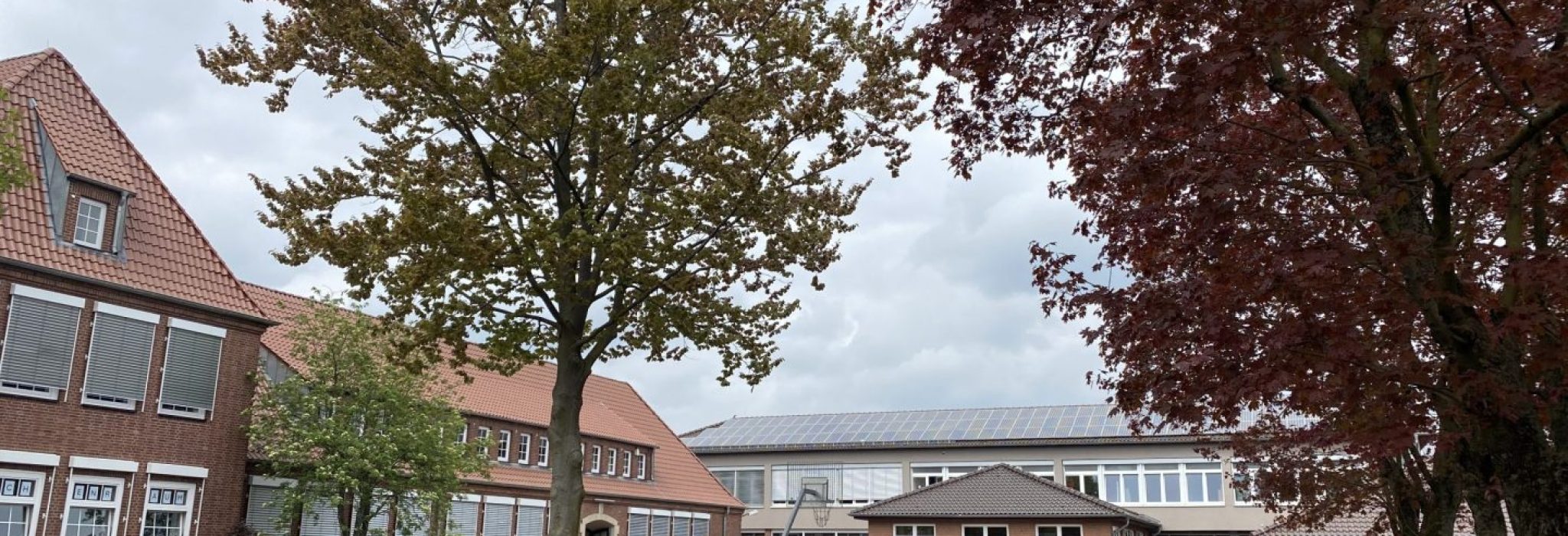 EC842000-5C18-4EF3-97C2-6DD0CB351946